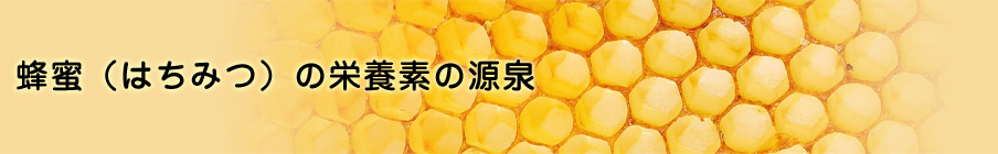 蜂蜜（はちみつ）の栄養素の源泉
